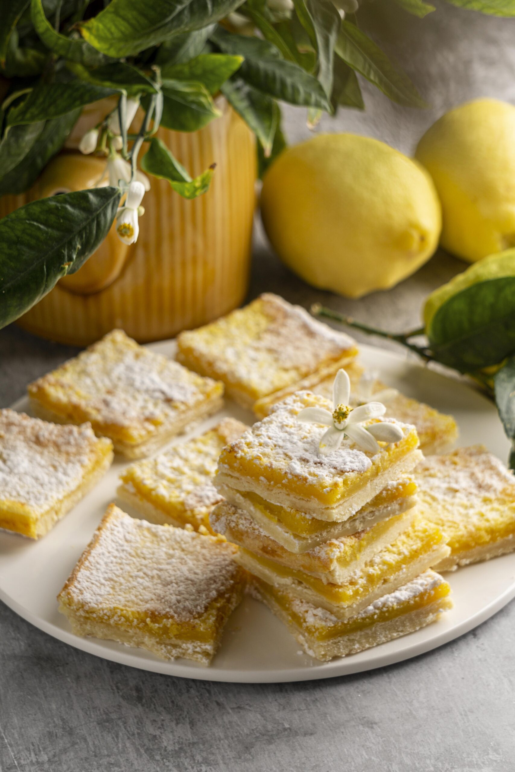 Best Lemon Cheesecake Bars Recipe