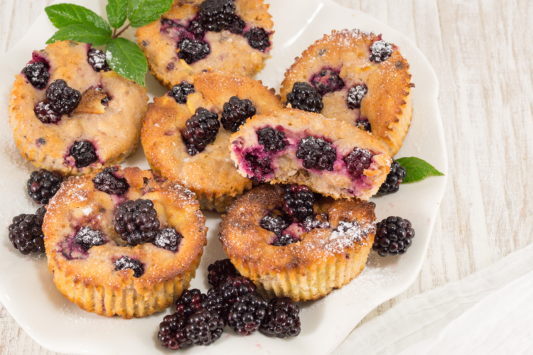 Moist Blackberry Muffins Keto Friendly